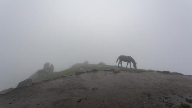 A horse grazes under a blanket of thick fog at Triund, a popular hiking destination in Dharamshala, Himachal Pradesh. (Ashwini Bhatia / AP) 
