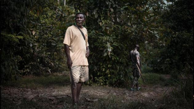 A ranger moves deftly through the tangle of roots and branches before waiting for the rainforest to give him a clue. In the heart of the Dzanga-Sangha wildlife reserve, the Pygmy hunter is looking for the tracks of a large female elephant he has been following for the last three hours. (Florent Vergnes / AFP) A ranger moves deftly through the tangle of roots and branches before waiting for the rainforest to give him a clue. In the heart of the Dzanga-Sangha wildlife reserve, the Pygmy hunter is looking for the tracks of a large female elephant he has been following for the last three hours. (Florent Vergnes / AFP)
