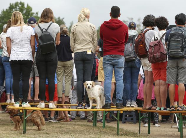 A dog entered the Goa airport runway (AP/Representative Image) A dog entered the Goa airport runway (AP/Representative Image)