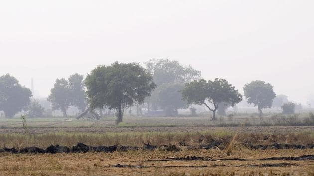 India has promised to convert nearly 50 lakh hectare degraded land into “fertile land” in the next 10 years.(Representative Image/HT File Photo)