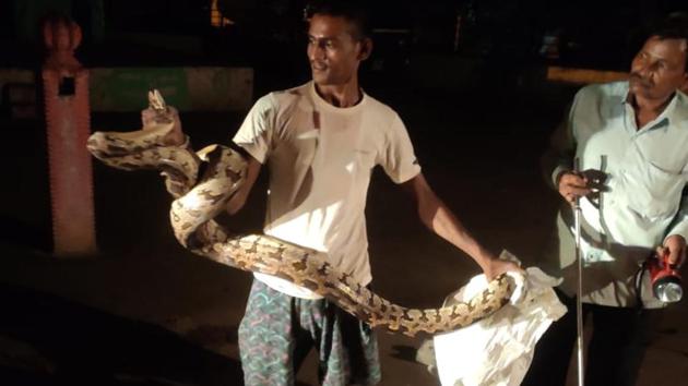 Large Python rescued on New Yamuna bridge.(HT photo)