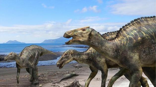 The team named the dinosaur “Kamuysaurus japonicus,” which means “Japanese dragon god.”(Twitter/@HokkaidoUni)
