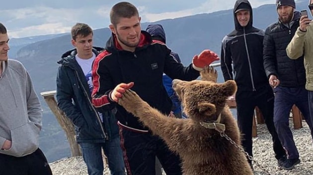 Khabib wrestles a bear.(@khabib_nurmagomedov)