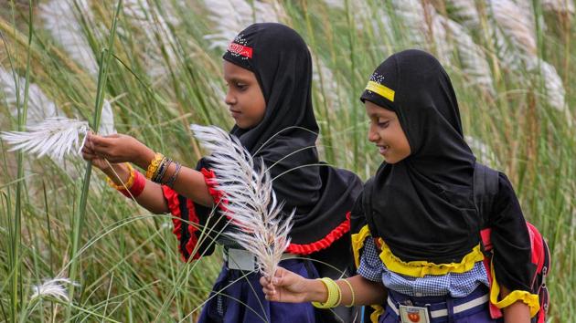 Girls pluck grass flowers on their way to school, in Nadia, West Bengal. (PTI) Girls pluck grass flowers on their way to school, in Nadia, West Bengal. (PTI)