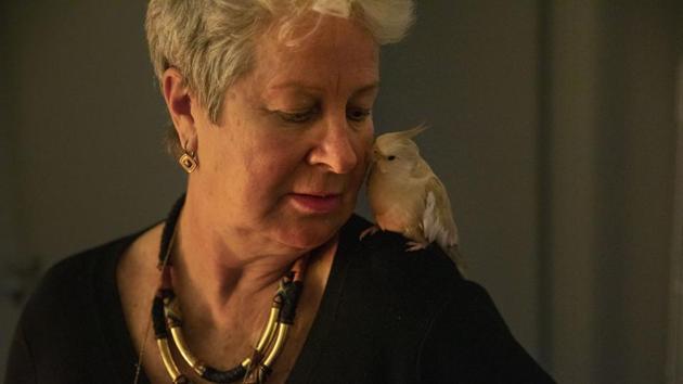 Deb Ware looks after Yazoo, her son’s cockatiel, whom she’s been looking after since Sam’s addiction. Deb kept fighting. She contacted politicians, up to federal Health Minister Greg Hunt. In an email, she begged him to implement a national prescription monitoring system. An assistant secretary replied, assuring Deb that a system was in the works, but its rollout was left to each state. (David Goldman / AP) Deb Ware looks after Yazoo, her son’s cockatiel, whom she’s been looking after since Sam’s addiction. Deb kept fighting. She contacted politicians, up to federal Health Minister Greg Hunt. In an email, she begged him to implement a national prescription monitoring system. An assistant secretary replied, assuring Deb that a system was in the works, but its rollout was left to each state. (David Goldman / AP)