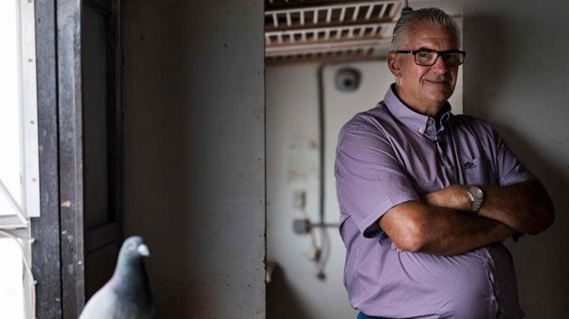 Joel was the only one of the elder Verschoot’s nine children to take an interest in training his father’s 50-strong racing flock. Now he has 300 birds of his own, and fame in the sport. Since retiring from the abattoir in 2015, Verschoot has turned a hobby into an international business, fuelled by the rise of Chinese interest. (Kenzo Tribouillard / AFP) Joel was the only one of the elder Verschoot’s nine children to take an interest in training his father’s 50-strong racing flock. Now he has 300 birds of his own, and fame in the sport. Since retiring from the abattoir in 2015, Verschoot has turned a hobby into an international business, fuelled by the rise of Chinese interest. (Kenzo Tribouillard / AFP)