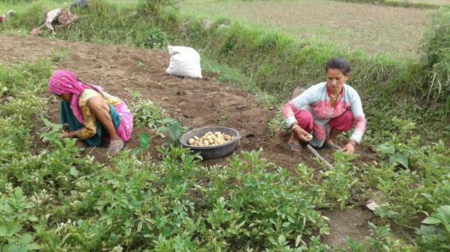 The loans were given to the farmers by the lenders out of their allotted periphery and, thus, were declared as illegal lending.(HT Photo)