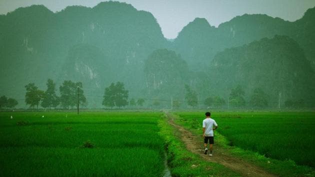 They belong to Vietnam’s only rugby programme for locals, rolled out for kids in a remote commune where some players have to travel by boat to training sessions often held against a backdrop of rice terraces and curious onlookers.(Unsplash) They belong to Vietnam’s only rugby programme for locals, rolled out for kids in a remote commune where some players have to travel by boat to training sessions often held against a backdrop of rice terraces and curious onlookers.(Unsplash)