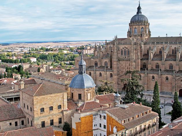 An aerial view of Salamanca from the university tower (Saubhadra Chatterji) An aerial view of Salamanca from the university tower (Saubhadra Chatterji)