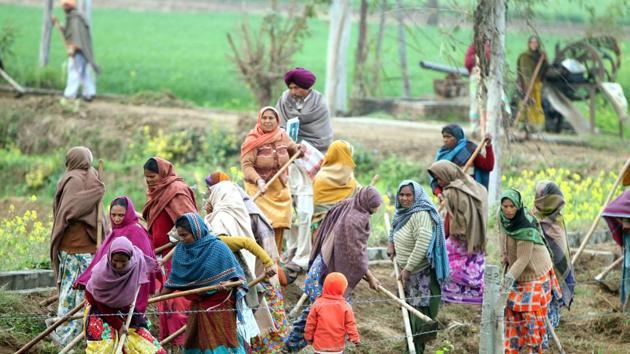 People working under the MGNREGA scheme at village at Bathinda, Punjab.(File Photo) People working under the MGNREGA scheme at village at Bathinda, Punjab.(File Photo)