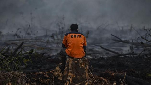 An Indonesian firefighter rests after battling a forest fire in Kampar, Riau. Huge fires are raging across vast swathes of Indonesia’s rainforests -- some of the world’s biggest -- with toxic smog shutting hundreds of schools in Southeast Asia. (Wahyudi / AFP) An Indonesian firefighter rests after battling a forest fire in Kampar, Riau. Huge fires are raging across vast swathes of Indonesia’s rainforests -- some of the world’s biggest -- with toxic smog shutting hundreds of schools in Southeast Asia. (Wahyudi / AFP)