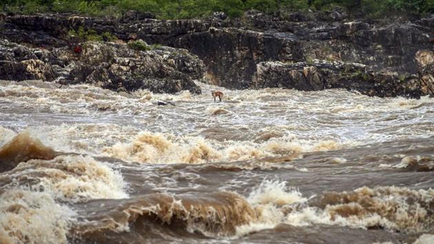 The river was flowing at 31.25 feet, three feet above the danger mark of 28 feet, at Golden Bridge that connects Ankleshwar to Bharuch.(Photo: PTI) The river was flowing at 31.25 feet, three feet above the danger mark of 28 feet, at Golden Bridge that connects Ankleshwar to Bharuch.(Photo: PTI)