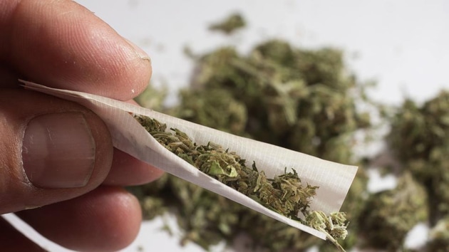 Shivne is a resident of Nashik and used to supply ganja to the drug suppliers in Kalyan. The duo has been remanded in police custody till September 16. (HT image) Shivne is a resident of Nashik and used to supply ganja to the drug suppliers in Kalyan. The duo has been remanded in police custody till September 16. (HT image)