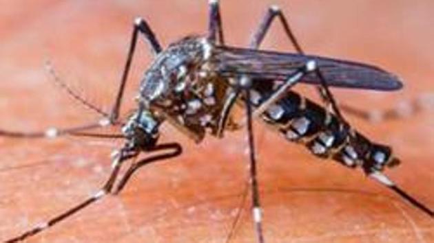 memorandums of understanding with two residents welfare association have been signed by Delhi government to endorse its ongoing anti-mosquito breeding campaign.(Photo: Shutterstock)
