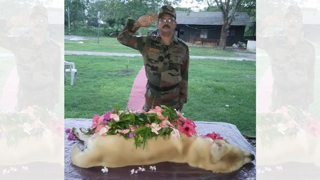 A soldier salutes during a memorial service for Dutch, an army dog who helped save many lives.(Photo Courtesy: Indian Army)