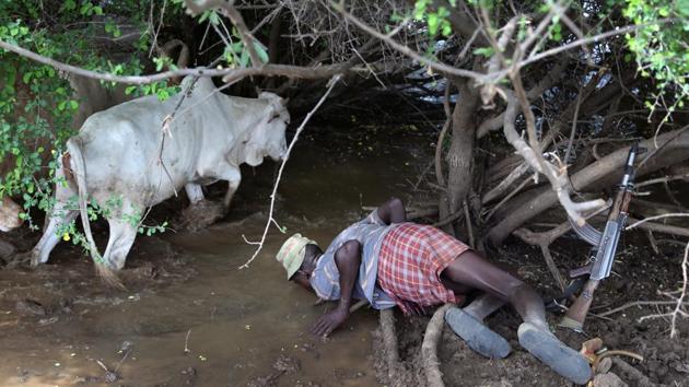 Kenya has found oil in Turkana, but while politicians in the capital Nairobi haggle over who gets the revenue, the discovery has had little effect on the county so far. Where he visited, families drink from the same muddy pools as their livestock. There are few schools - children instead help herd the precious cows to nearby watering holes. (Goran Tomasevic / REUTERS) Kenya has found oil in Turkana, but while politicians in the capital Nairobi haggle over who gets the revenue, the discovery has had little effect on the county so far. Where he visited, families drink from the same muddy pools as their livestock. There are few schools - children instead help herd the precious cows to nearby watering holes. (Goran Tomasevic / REUTERS)