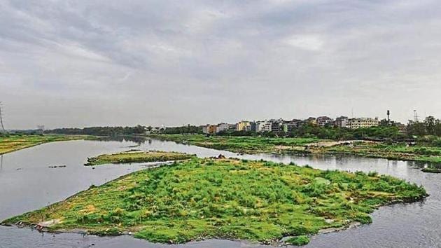The ecological zone will be a 20-25 metre-wide stretch of marsh area along the river and will have floodplain forests and nature trails. (HT FILE) The ecological zone will be a 20-25 metre-wide stretch of marsh area along the river and will have floodplain forests and nature trails. (HT FILE)