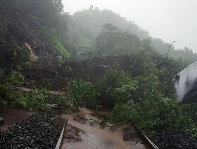 At least seven major incidents of landslides have been recorded in the ghat (hilly) section between Lonavla and Karjat this year since the first week of July(HT PHOTO)