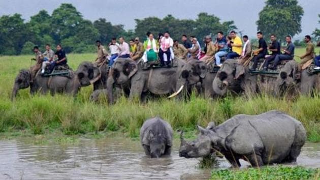 Tourists watch a one horned rhino with her calf as they cool off in Assam’s Kaziranga national park.(PTI) Tourists watch a one horned rhino with her calf as they cool off in Assam’s Kaziranga national park.(PTI)