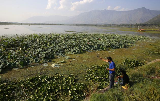 A man fishes in Dal lake, in Srinagar, Jammu and Kashmir. (Waseem Andrabi / Hindustan Times) A man fishes in Dal lake, in Srinagar, Jammu and Kashmir. (Waseem Andrabi / Hindustan Times)