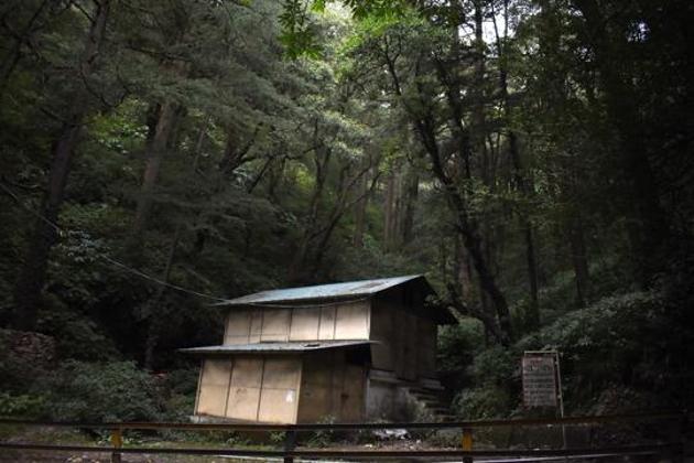 Chudail Baudi a haunted place on Nawbihar-Chota Shimla road. (Photo by Deepak Sansta / Hindustan Times) Chudail Baudi a haunted place on Nawbihar-Chota Shimla road. (Photo by Deepak Sansta / Hindustan Times)