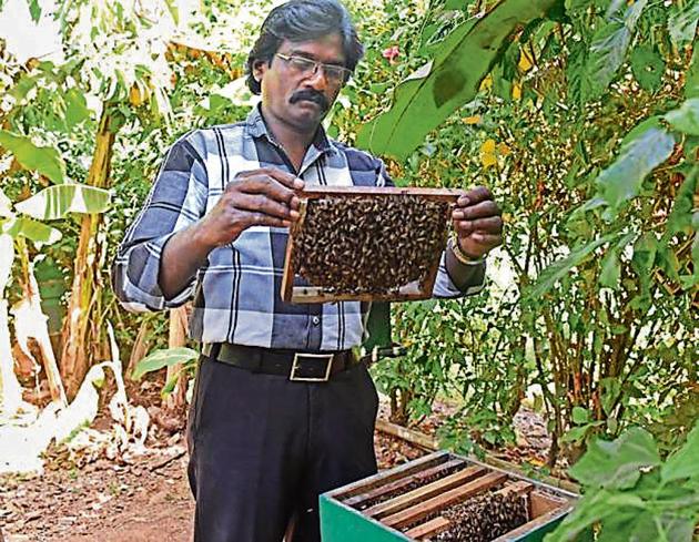 Johnson Jacob, the city’s only beekeeper, has written to the state to reconsider felling of trees in Aarey Colony.(Pratham Gokhale/ HT Photo) Johnson Jacob, the city’s only beekeeper, has written to the state to reconsider felling of trees in Aarey Colony.(Pratham Gokhale/ HT Photo)
