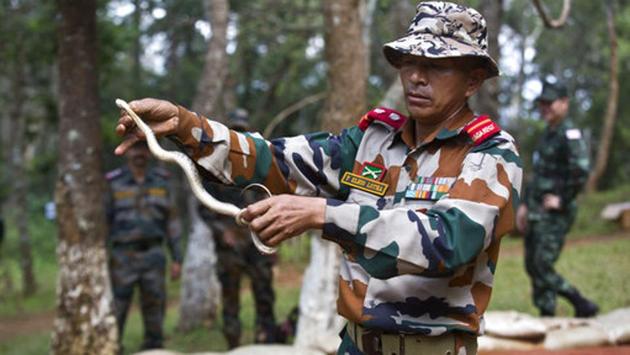 An army instructor demonstrates how to catch wild snakes as part of jungle survival training during a joint Royal Thailand Army and Indian army exercise at the Foreign Training Node in Umroi, Meghalaya. (Anupam Nath / AP) An army instructor demonstrates how to catch wild snakes as part of jungle survival training during a joint Royal Thailand Army and Indian army exercise at the Foreign Training Node in Umroi, Meghalaya. (Anupam Nath / AP)