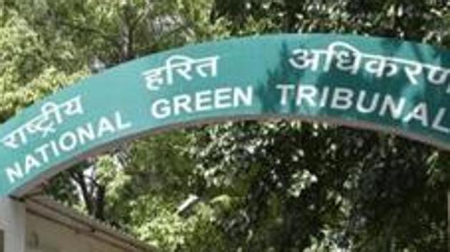 The National Green Tribunal (NGT) bench comprising justice SP Wangdi, justice Ramkrishnan and expert Nagin Nanda, have sought a report from the tree authority committee and the Pune Municipal Corporation (PMC) regarding the felling of 250 trees for road widening from Cummins College to Mahalaxmi Lawns at Karvenagar. (Hindustan Times) The National Green Tribunal (NGT) bench comprising justice SP Wangdi, justice Ramkrishnan and expert Nagin Nanda, have sought a report from the tree authority committee and the Pune Municipal Corporation (PMC) regarding the felling of 250 trees for road widening from Cummins College to Mahalaxmi Lawns at Karvenagar. (Hindustan Times)