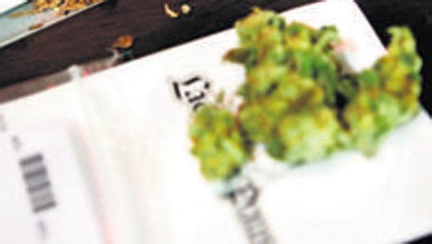 Interestingly, Biren Singh also shared a report about a mother who sold her house to buy medicinal cannabis (extract of cannabis oil) for her wheelchair-bound daughter.(Reuters file photo) Interestingly, Biren Singh also shared a report about a mother who sold her house to buy medicinal cannabis (extract of cannabis oil) for her wheelchair-bound daughter.(Reuters file photo)