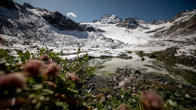Plants grow near a lake in front of Jamtalferner glacier. Glaciers in Austria, on the eastern edge of the Alps, are particularly sensitive to climate change and have been shrinking even more rapidly than most. (Lisi Neisner / REUTERS) Plants grow near a lake in front of Jamtalferner glacier. Glaciers in Austria, on the eastern edge of the Alps, are particularly sensitive to climate change and have been shrinking even more rapidly than most. (Lisi Neisner / REUTERS)