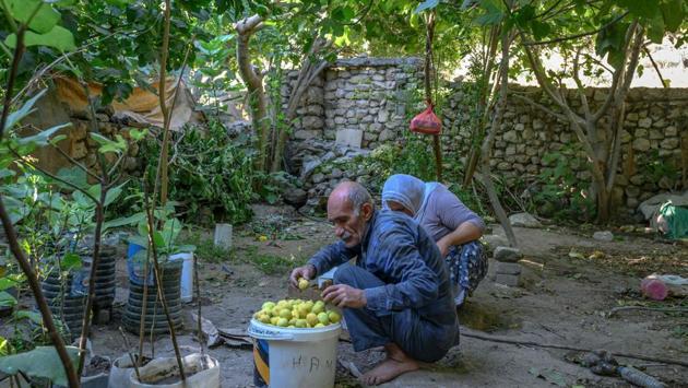 For 73-year-old Mehmet, the endless construction work around these old monuments is like watching the funeral of an old friend. He is busy cultivating the figs and grapes in his garden that he has tended since he was a child. This is the last time -- by April, they will be underwater. (Bulent Kilic / AFP)