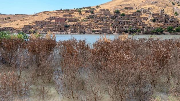 The village of Celik which was deserted and invaded by water, in Dargecit, southeast Turkey. “This year, officials told us not to sow seeds because the water was coming, but we did it anyway. We will sow right up to the end,” said Meseha, 62, in the nearby village of Cavuslu. Some parts of the valley have already become a lake. (Bulent Kilic / AFP)