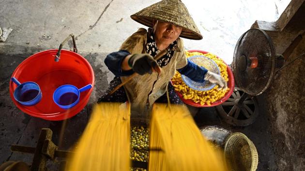 A worker collects yellow silk threads on a bobbin inside a workshop in Co Chat village in Nam Dinh province. Cocoons bob over boiling water as silk is rapidly teased out, spinning on reels under the watchful gaze of women hard at work in Vietnam's Co Chat village, where households have been making thread for more than a century. (Manan Vatsyayana / AFP)