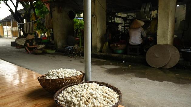 Silkworms cocoons kept in baskets outside a workshop in Co Chat village. The village in Nam Dinh province, two hours south of the capital Hanoi, is nearing the end of silk production season. (Manan Vatsyayana / AFP)