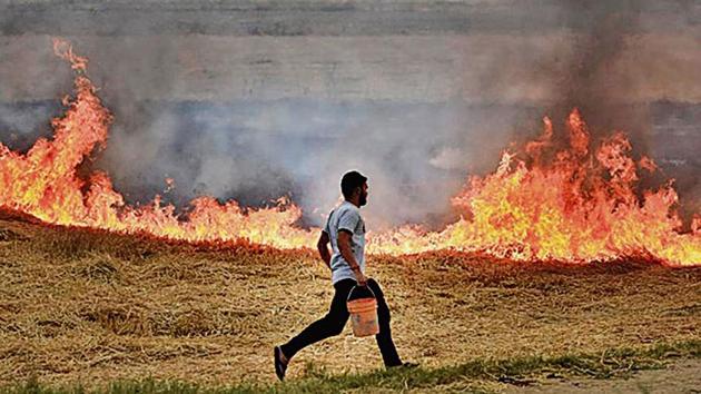 A man runs to douse the fire set by farmers in a wheat field in Rohtak, Haryana. (Burhaan Kinu/HT archive) A man runs to douse the fire set by farmers in a wheat field in Rohtak, Haryana. (Burhaan Kinu/HT archive)