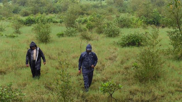 Forest officials return after a patrol. Environmentalists say the action is a half-hearted response. While mangroves are important, the loss of natural drainage systems such as rivers and creeks was also crucial, said activist Nandkumar Pawar. He said some laws meant to protect the coast have been “relaxed” so that new buildings had crept closer to the shore, covering rivers and creeks that drained floodwaters. (Indranil Mukherjee / AFP) Forest officials return after a patrol. Environmentalists say the action is a half-hearted response. While mangroves are important, the loss of natural drainage systems such as rivers and creeks was also crucial, said activist Nandkumar Pawar. He said some laws meant to protect the coast have been “relaxed” so that new buildings had crept closer to the shore, covering rivers and creeks that drained floodwaters. (Indranil Mukherjee / AFP)