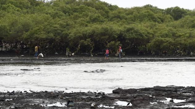 People walk past mangroves on the coast during low tide. Climate scientist Roxy Mathew Koll of the Indian Institute of Tropical Meteorology believes that the increased frequency of flooding in the city calls for extra defences -- as well as a warning system to protect the growing population. “We need to have a long-term vision,” Koll told AFP. (Indranil Mukherjee / AFP) People walk past mangroves on the coast during low tide. Climate scientist Roxy Mathew Koll of the Indian Institute of Tropical Meteorology believes that the increased frequency of flooding in the city calls for extra defences -- as well as a warning system to protect the growing population. “We need to have a long-term vision,” Koll told AFP. (Indranil Mukherjee / AFP)