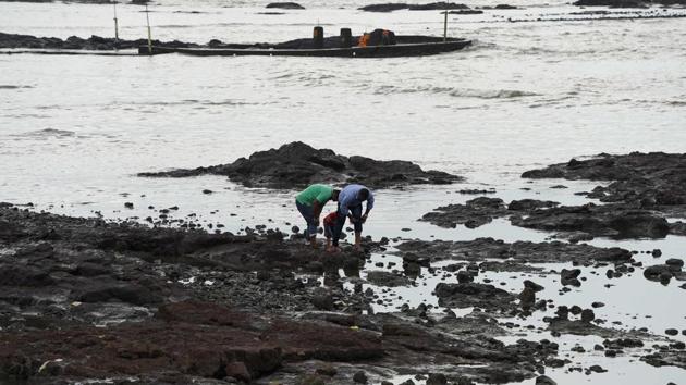 People look for fish and clams inside rocks next to mangroves during low tide. Amid all the criticism, Maharashtra Maritime Board deputy director Jitendra Raisinghani said hard-pressed authorities were working on a coastal management plan. “We are doing the best as per our capacity and resources,” he said. “There is never enough and you can do more.” (Indranil Mukherjee / AFP) People look for fish and clams inside rocks next to mangroves during low tide. Amid all the criticism, Maharashtra Maritime Board deputy director Jitendra Raisinghani said hard-pressed authorities were working on a coastal management plan. “We are doing the best as per our capacity and resources,” he said. “There is never enough and you can do more.” (Indranil Mukherjee / AFP)
