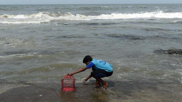 A boy cleans a bird cage in the sea during high tide. Stalin Dayanand, an activist with the Vanashakti environmental group, said there had to be more natural defences. “We are using measures which will increase conflict with nature by relying on civil engineering solutions like building walls,” he said, adding that more deaths and damage were inevitable. (Punit Paranjpe / AFP) A boy cleans a bird cage in the sea during high tide. Stalin Dayanand, an activist with the Vanashakti environmental group, said there had to be more natural defences. “We are using measures which will increase conflict with nature by relying on civil engineering solutions like building walls,” he said, adding that more deaths and damage were inevitable. (Punit Paranjpe / AFP)
