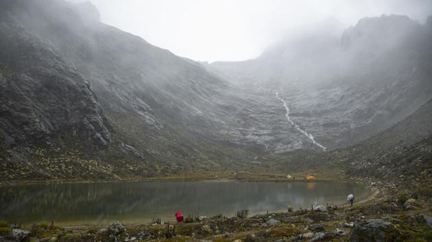 The Institute of Environmental and Ecological Sciences at the University of the Andes was founded 50 years ago and the scientists there see themselves as custodians of long-term data monitoring how temperatures and plant life are changing in the region, including in the Andean ecosystem known as the paramos — a mist-covered mountain grassland between the top of the tree line and the bottom of the glacier. (Jose Manuel Romero / AP) The Institute of Environmental and Ecological Sciences at the University of the Andes was founded 50 years ago and the scientists there see themselves as custodians of long-term data monitoring how temperatures and plant life are changing in the region, including in the Andean ecosystem known as the paramos — a mist-covered mountain grassland between the top of the tree line and the bottom of the glacier. (Jose Manuel Romero / AP)