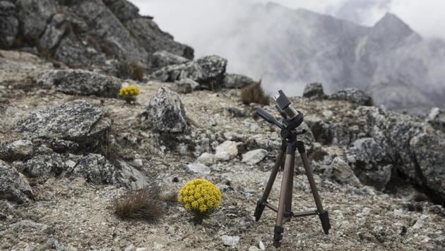 A video camera records a plant during a scientific mission. “More than 50 million people in South America rely on water provision from the Andes,” said Francisco Cuesta, a tropical ecologist at the University of the Americas in Quito, Ecuador, who marvels at the dogged work the team is doing under such punishing conditions. “To me, it’s incredible that they are still doing research there,” Cuesta said. (Rodrigo Abd / AP) A video camera records a plant during a scientific mission. “More than 50 million people in South America rely on water provision from the Andes,” said Francisco Cuesta, a tropical ecologist at the University of the Americas in Quito, Ecuador, who marvels at the dogged work the team is doing under such punishing conditions. “To me, it’s incredible that they are still doing research there,” Cuesta said. (Rodrigo Abd / AP)