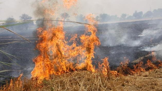Hundreds of instances of farm fires have been recorded in Punjab and Haryana, forcing officials in the national capital as well as in the adjoining states to consider measures. Photo by Manoj Dhaka/HindustanTime