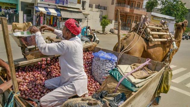 Harvests of the country’s main summer onion crop have been delayed by over a month in key states due to a sluggish start to this year’s monsoon rains (PTI) Harvests of the country’s main summer onion crop have been delayed by over a month in key states due to a sluggish start to this year’s monsoon rains (PTI)