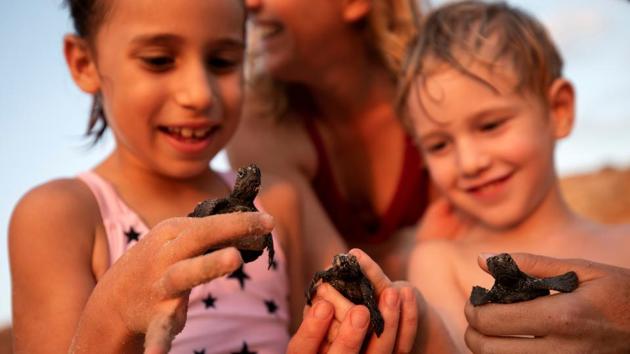 Children hold newly-hatched baby sea turtles born at a protective nesting site set-up as part of the Israeli Sea Turtle Rescue Centre's conservation programme, at a beach near Mikhmoret north of Tel Aviv, Israel. (Amir Cohen / REUTERS) Children hold newly-hatched baby sea turtles born at a protective nesting site set-up as part of the Israeli Sea Turtle Rescue Centre's conservation programme, at a beach near Mikhmoret north of Tel Aviv, Israel. (Amir Cohen / REUTERS)