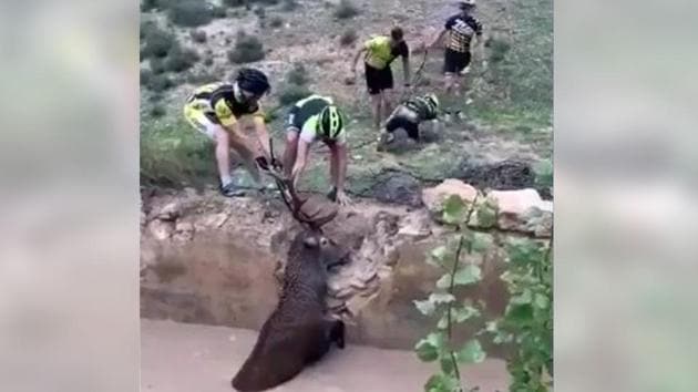 (Facebook/Club ciclista Huescar 1925) (Facebook/Club ciclista Huescar 1925)