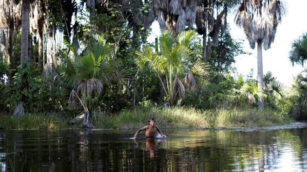 Nearly 2%, or 13,000 sq km, of India’s total forest area is occupied by encroachers, the environment ministry has said(REUTERS)