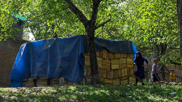 Children play near empty boxes stacked outside an apple orchard. But locals insisted to AFP that the insurgents were not the reason for abandoning what they say is a bumper crop this year. “To leave the ripe apples rotting on the trees is the only form of protest we can do under the current circumstances,” Malik said. People say they are more frightened of security forces. (Tauseef Mustafa / AFP) 