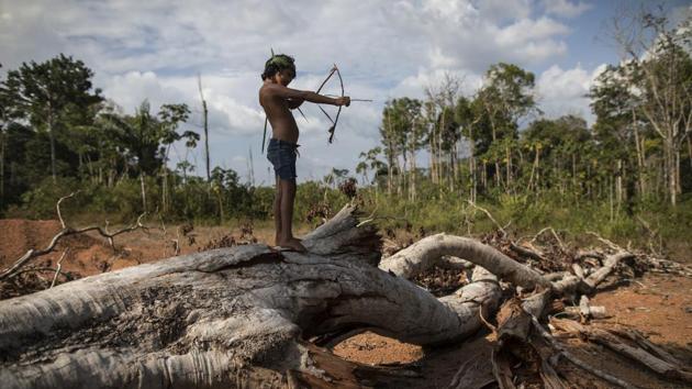 Seven-year-old Emilia Tembe pulls back on her hand-crafted toy bow and arrow made of sticks and leaves as she stands on a fallen tree, in the Ka’ a kyr village, Para state, Brazil. “This part used to be a native forest. This was primary jungle. But the fire arrived and it cleared the land,” said Emidio Tembe, Emilia’s grandfather and the Ka’ a kyr chieftain who named the village. (Rodrigo Abd / AP)