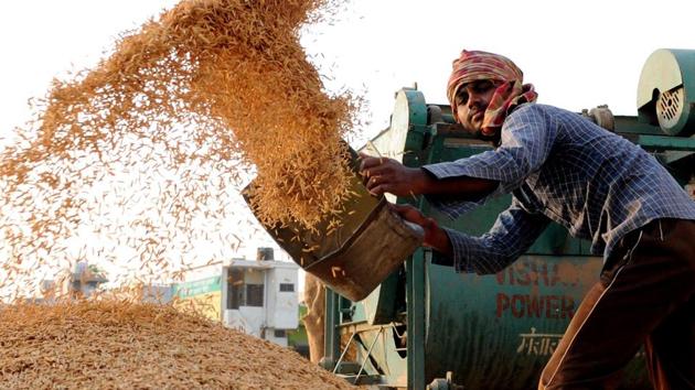 Purchase of paddy crop by government agencies has started at only three centres — Rajpura, Nabha and Samana — in the district.(HT PHOTO)