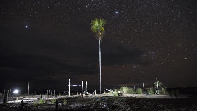 In this photo made with a long exposure and artificial light, a tree stands in a former mining camp seized by police in Peru's Tambopata province. The area known by miners as "La Pampa," which surrounds a national park and doesn't appear on state maps, has yielded roughly 25 tons of illegally mined gold a year, much more than the legally produced amount in the same area, according to the Peruvian government. (Rodrigo Abd / AP)
